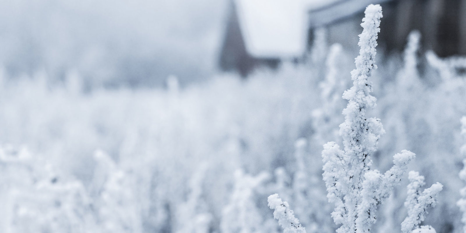 Winterschilder-Eigenhuis-Schilderplan